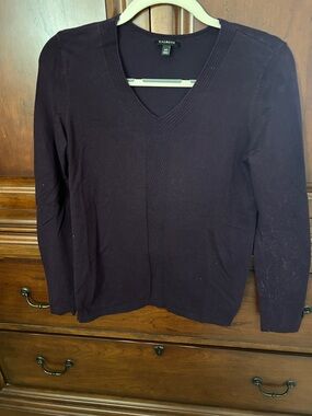 Talbots V-Neck Sweater in Plum/Cotton Blend